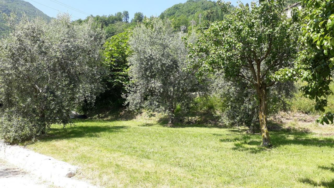 Casa Gina Garden And View By Gardadomusmea Vila Tremosine Exterior foto